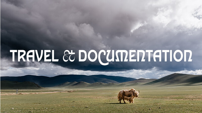 Auf dem Bild ist ein Yak, mit der Überschrift Travel and Documentation, welches auf die Reisefotografie von Jan Demann verlinkt.