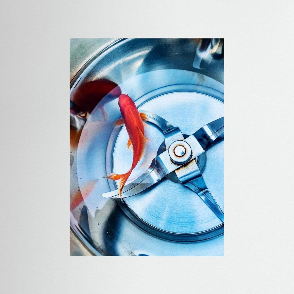 mockup-storefront.jpg Träumerei